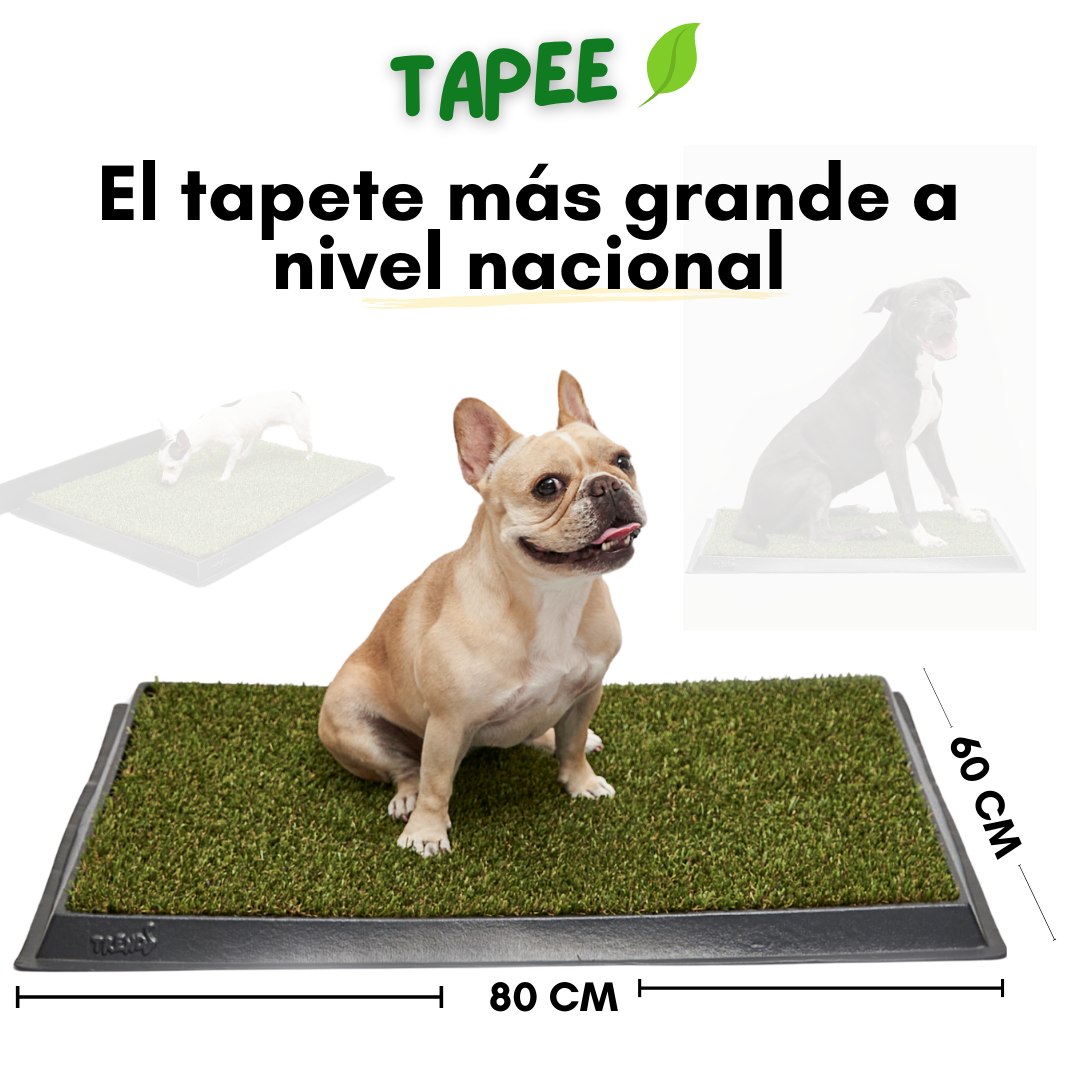 TAPETE SANITARIO + ARENA ECOLÓGICA + GUÍA DE ENTRENAMIENTO