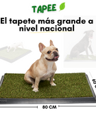 TAPETE SANITARIO + ARENA ECOLÓGICA + GUÍA DE ENTRENAMIENTO
