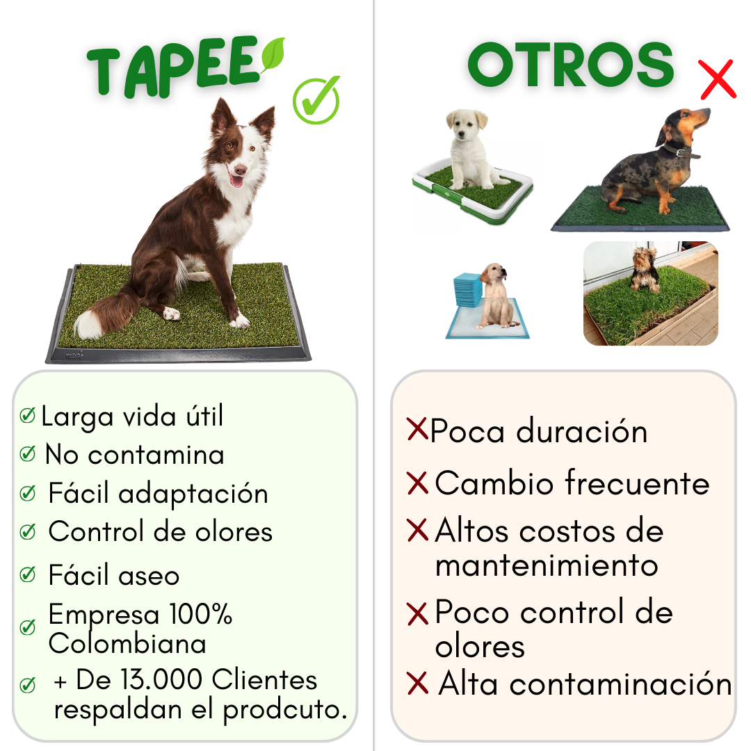 TAPETE SANITARIO + ARENA ECOLÓGICA + GUÍA DE ENTRENAMIENTO