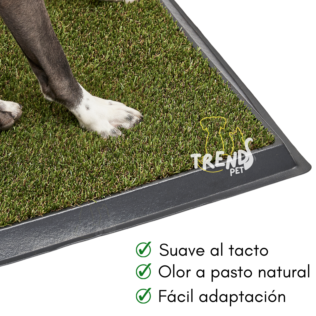 TAPETE SANITARIO + ARENA ECOLÓGICA + GUÍA DE ENTRENAMIENTO