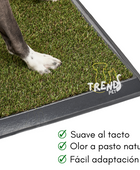 TAPETE SANITARIO + ARENA ECOLÓGICA + GUÍA DE ENTRENAMIENTO