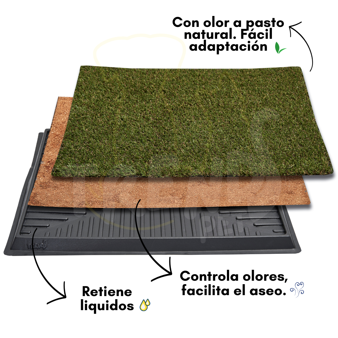 TAPETE SANITARIO + ARENA ECOLÓGICA + GUÍA DE ENTRENAMIENTO